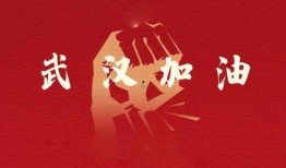 中国酒吧疫情最新爆料,追踪病毒传播链，揭秘防控挑战